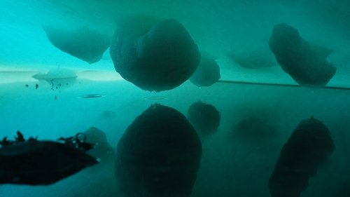 One Strange Rock: 1×2