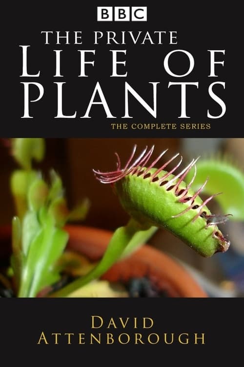 Where to stream The Private Life of Plants Season 1