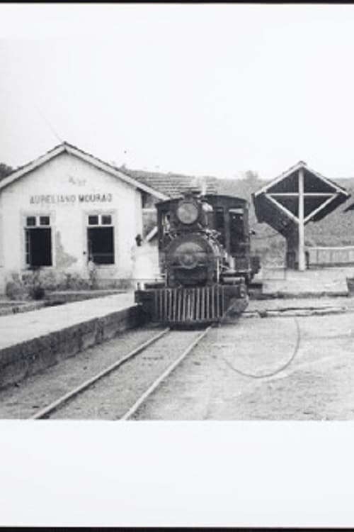 Prolongamento da Estrada de Ferro Oeste de Minas (1924)