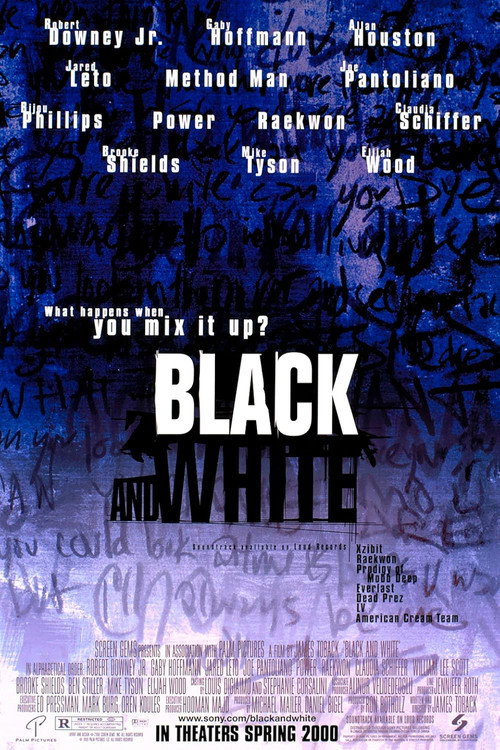 Black and White poster