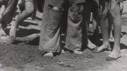 The Barefoot Battalion