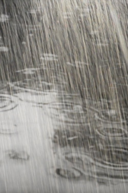 Rain: Then and Now movie poster player