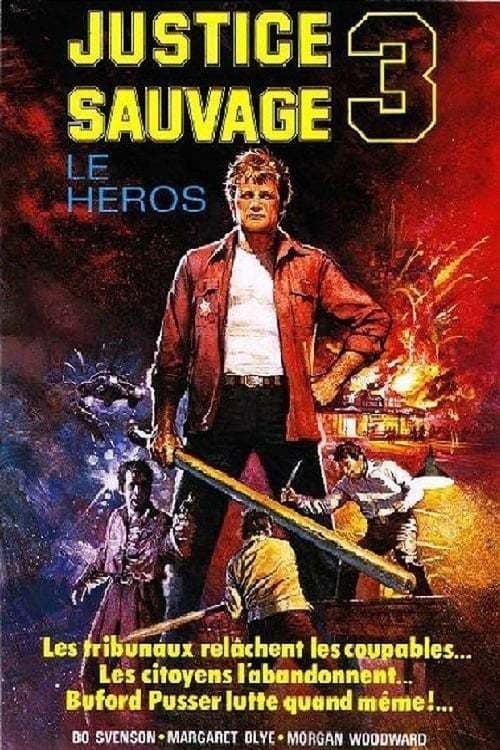 Justice sauvage 3 : Le Héros (1977)