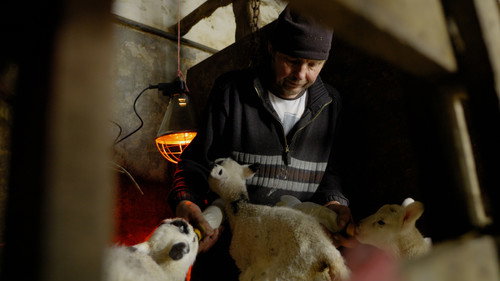 Farming on the Edge Backdrop Blur