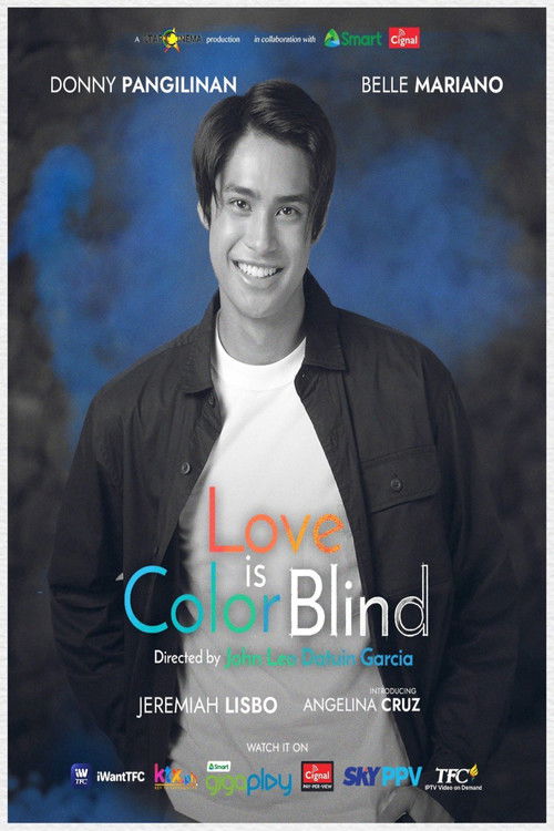 Love Is Color Blind poster