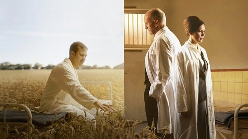 Det Sindssyge Eksperiment