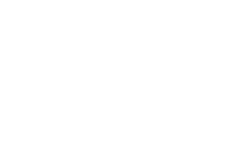 Down with the King