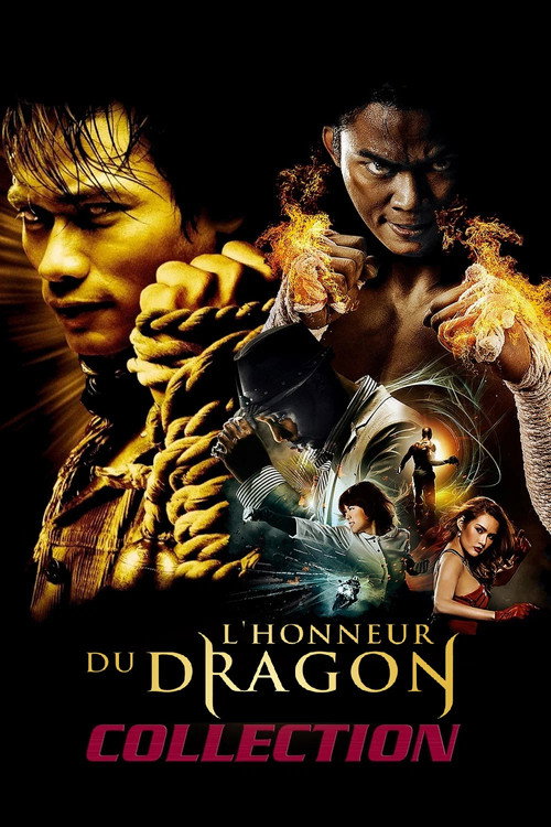 L'Honneur du Dragon - Saga