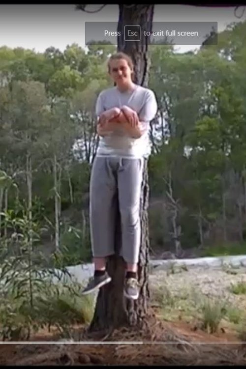 taped to a tree movie poster player