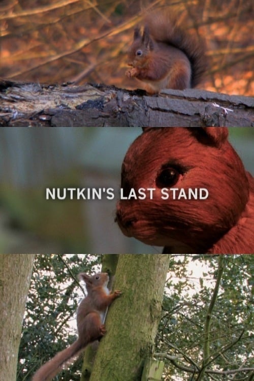 Poster Nutkin's Last Stand 2009