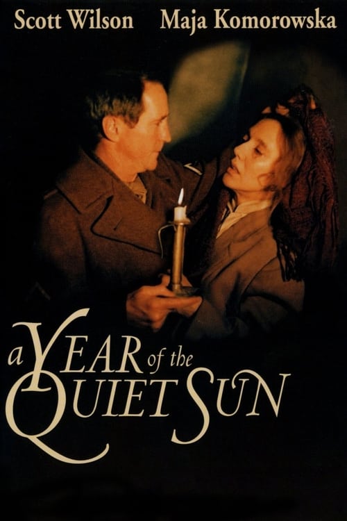 Grootschalige poster van A Year of the Quiet Sun