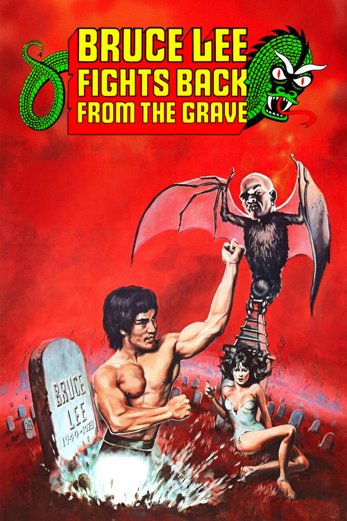 Bruce Lee Fights Back from the Grave poster
