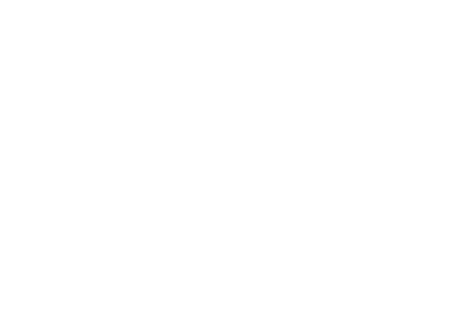 The Blossoming Love