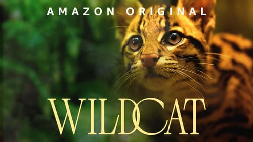 Wildcat (2022) Download Full HD ᐈ BemaTV
