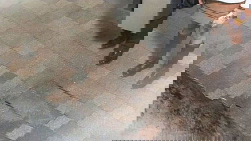Image de l'épisode 2