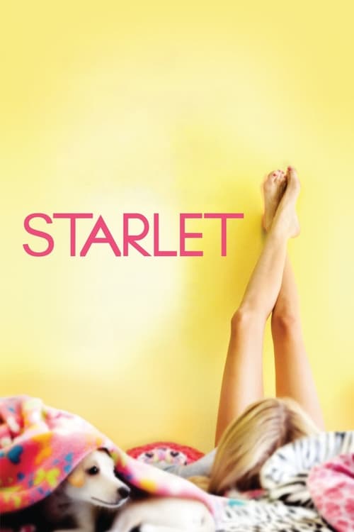 Grootschalige poster van Starlet