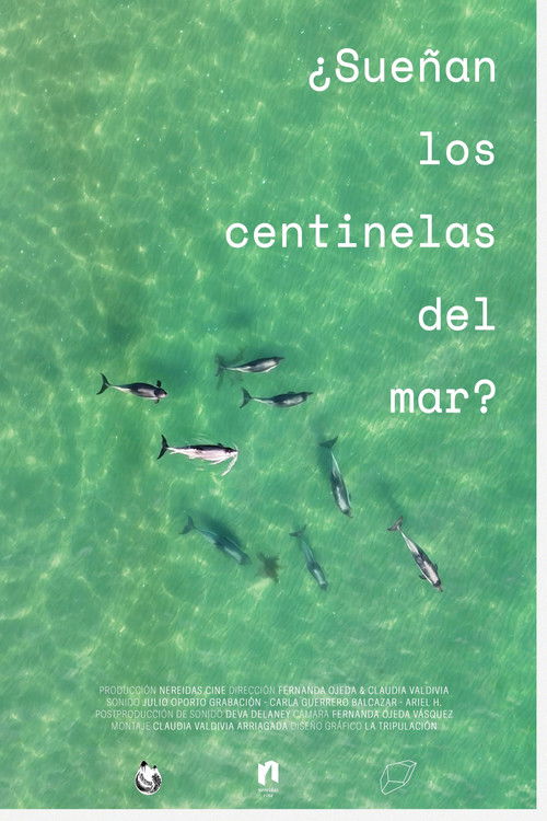 ¿Sueñan los centinelas del mar?