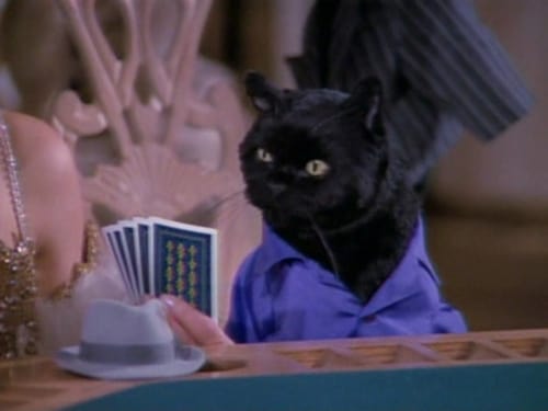 Poster della serie Sabrina, the Teenage Witch