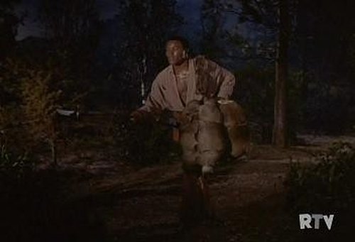 Daniel Boone, S02E04 - (1965)