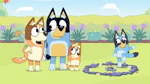 Bluey, S01E30 - (2019)