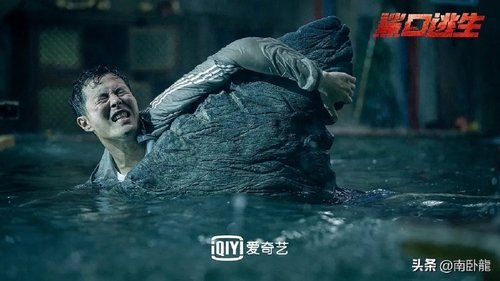 Escape of Shark
