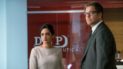 Bull: 2×8