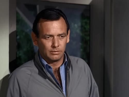 The Fugitive, S04E09 - (1966)