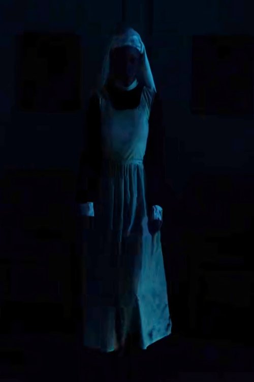 The Nurse poster