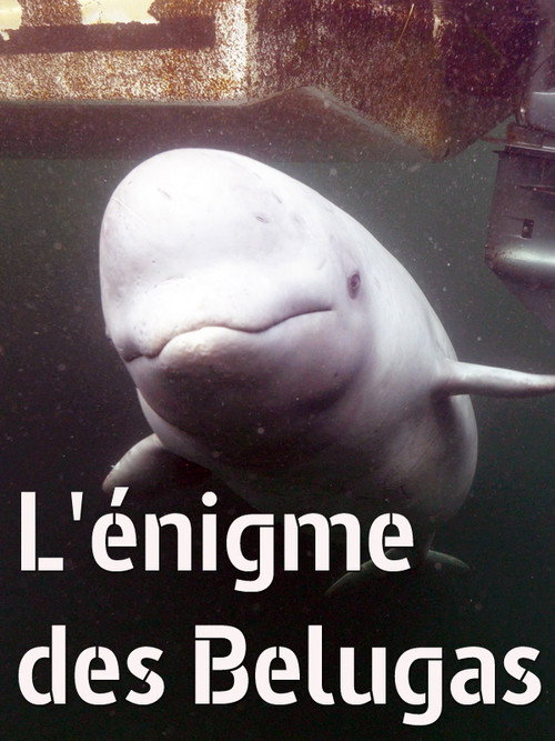 Image du film