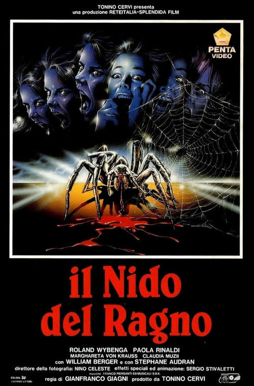 The Spider Labyrinth poster