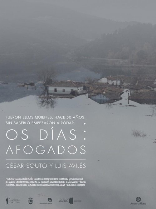 Os Días Afogados movie poster player
