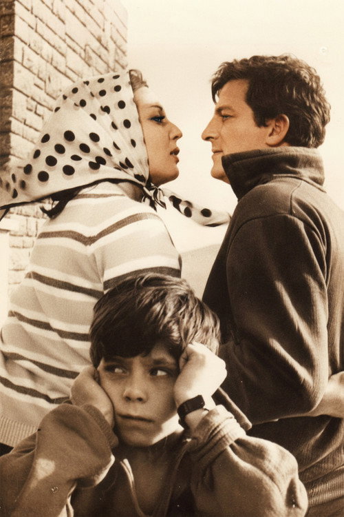 Dişi Örümcek poster