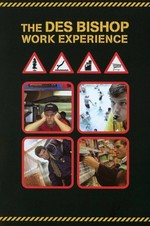 The Des Bishop Work Experience