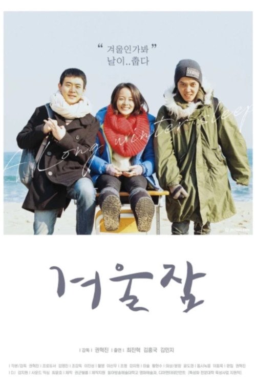 Winter Sleep (2017) poster