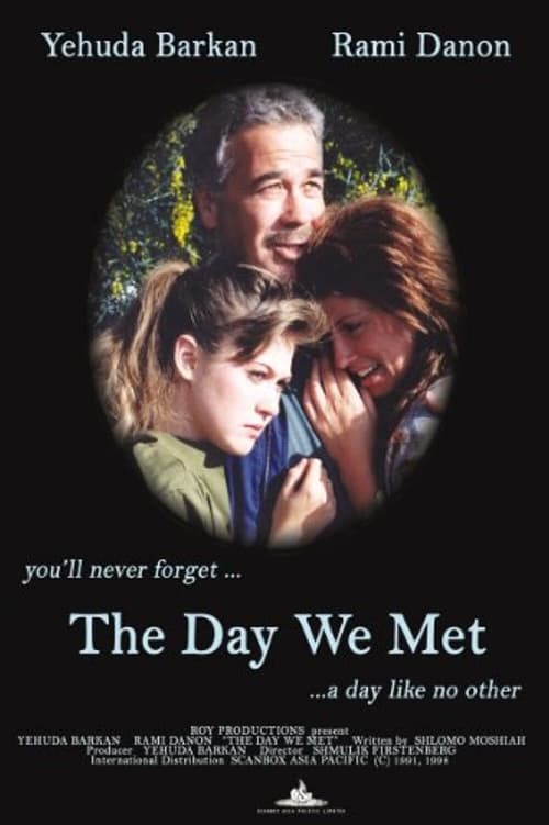 The Day We Met Movie Poster Image