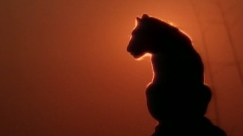 Lions Of Darkness Lions Of Darkness