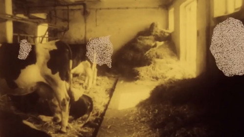 Stop!! wstęp wzbroniony