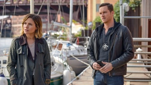 Chicago P.D. Distrito 21: 3×9