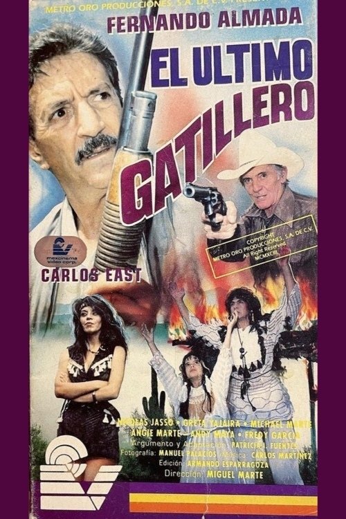 El último gatillero (1993) poster