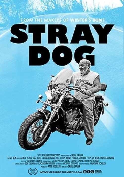 Stray Dog poster