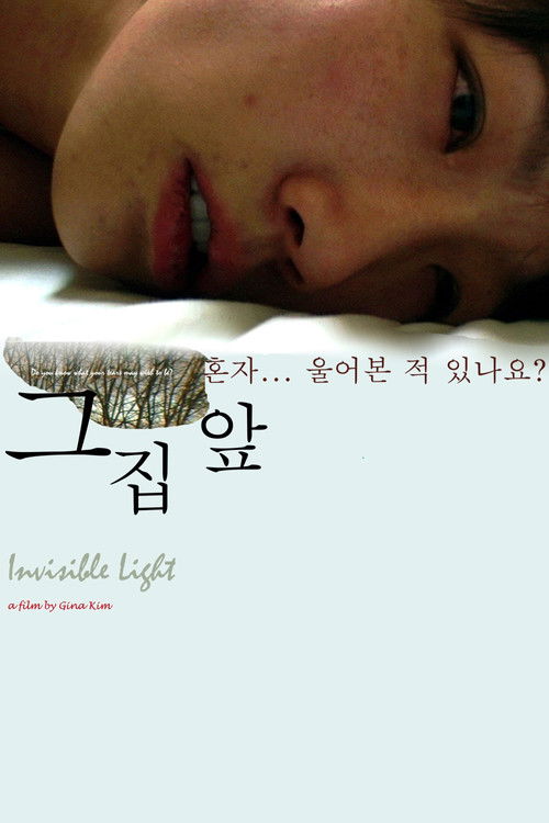 Invisible Light poster