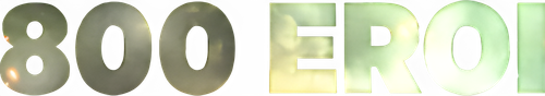 800 eroi official logo