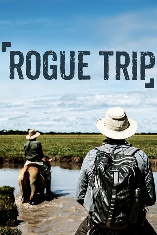 Poster Rogue Trip
