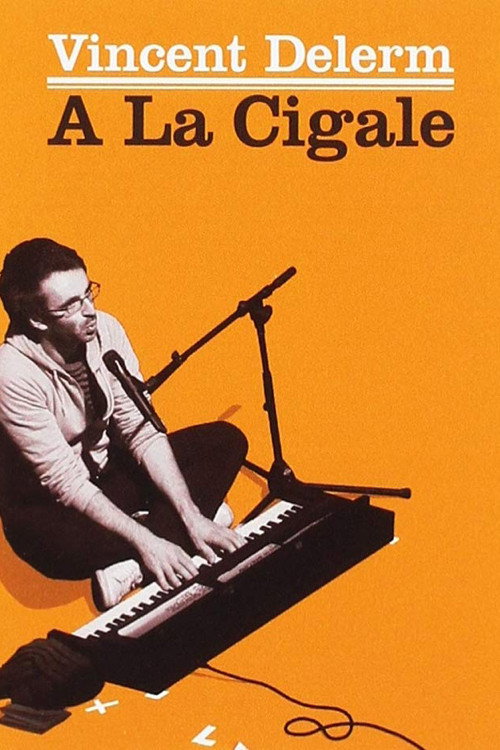 Vincent Delerm à la Cigale