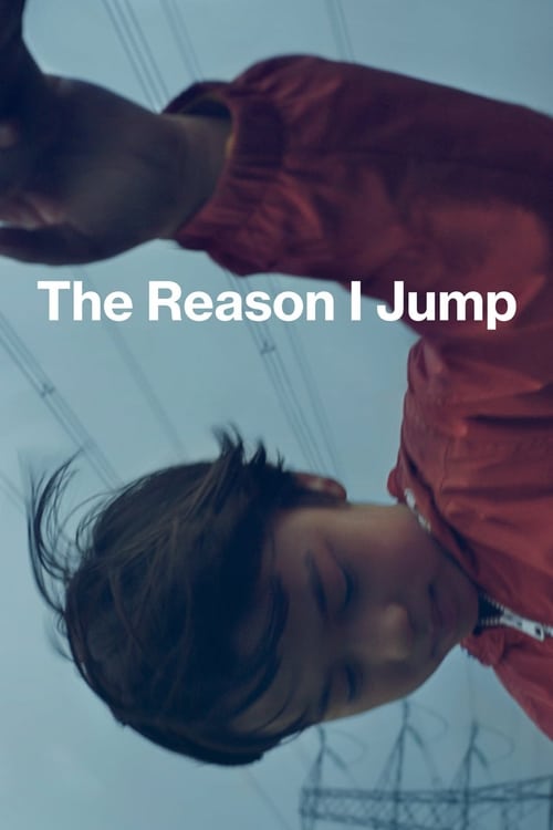 Grootschalige poster van The Reason I Jump