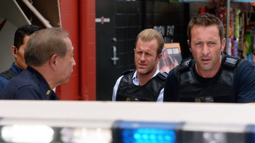 Poster della serie Hawaii Five-0