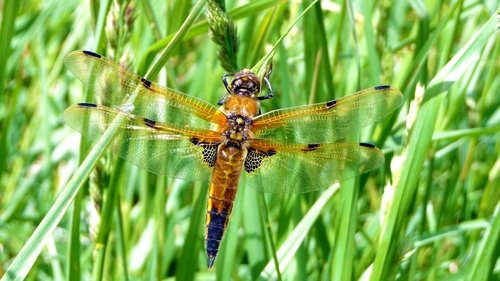 Image de l'épisode 3