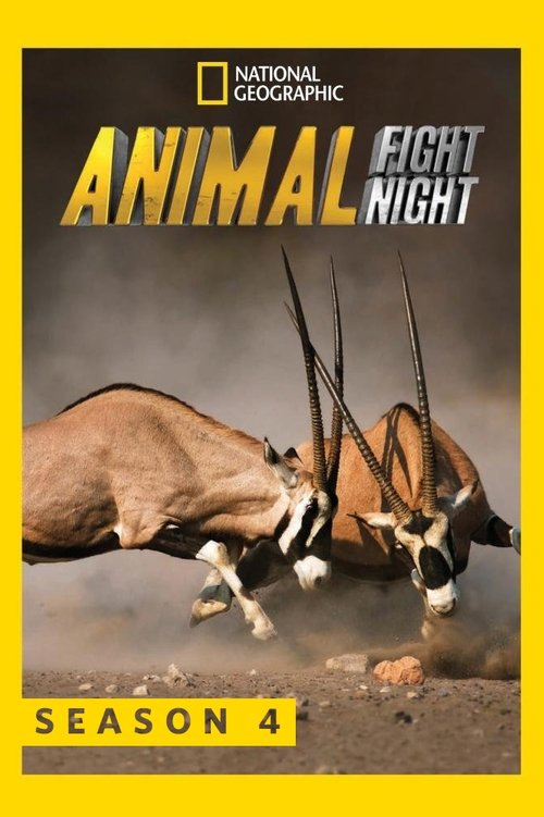 Where to stream Animal Fight Night Season 4