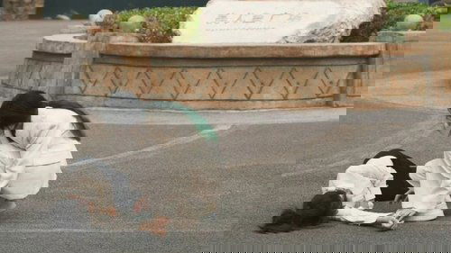 月白之时