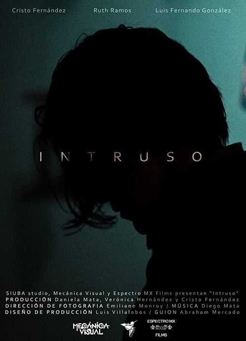 Poster do filme Intruder
